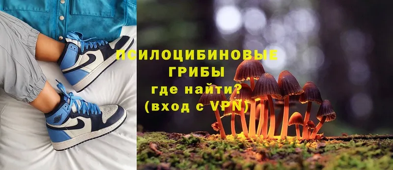 где можно купить наркотик  МЕГА сайт  Псилоцибиновые грибы Psilocybine cubensis  Лодейное Поле 